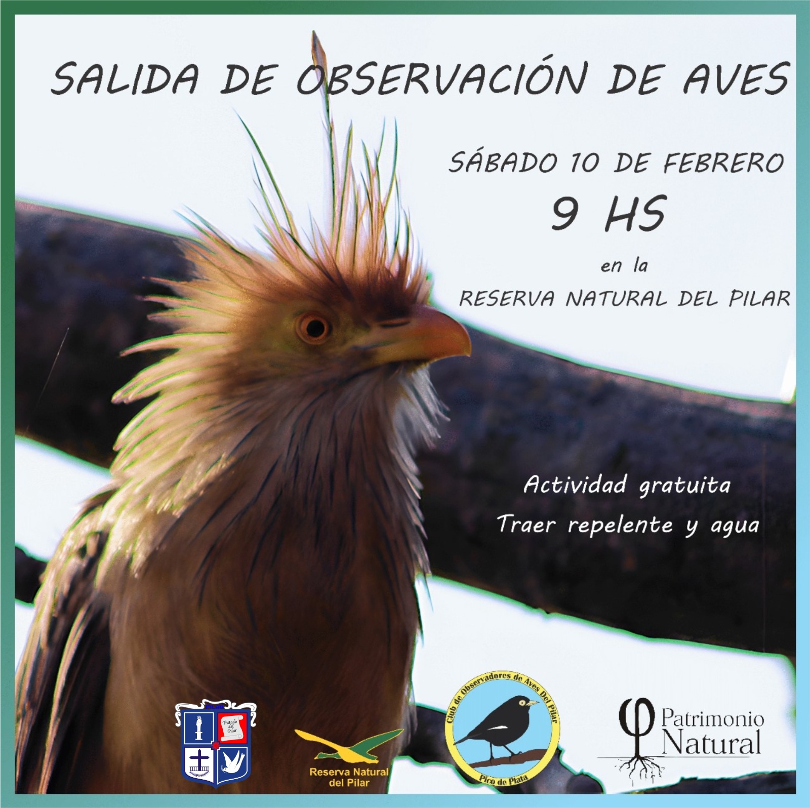 WhatsApp Image 2024 02 07 At 12.25.40