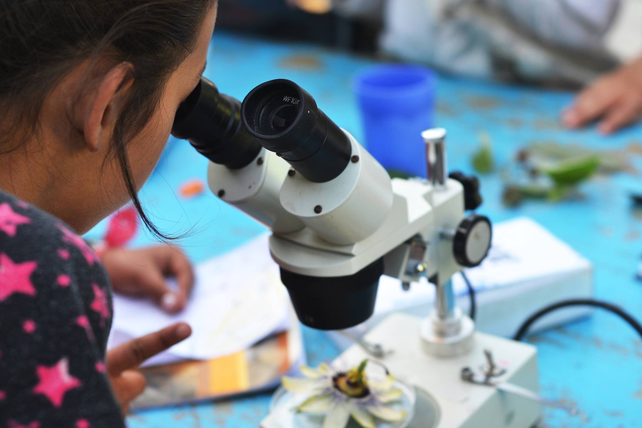 43710694 10156586978136544 8186652216765972480 N