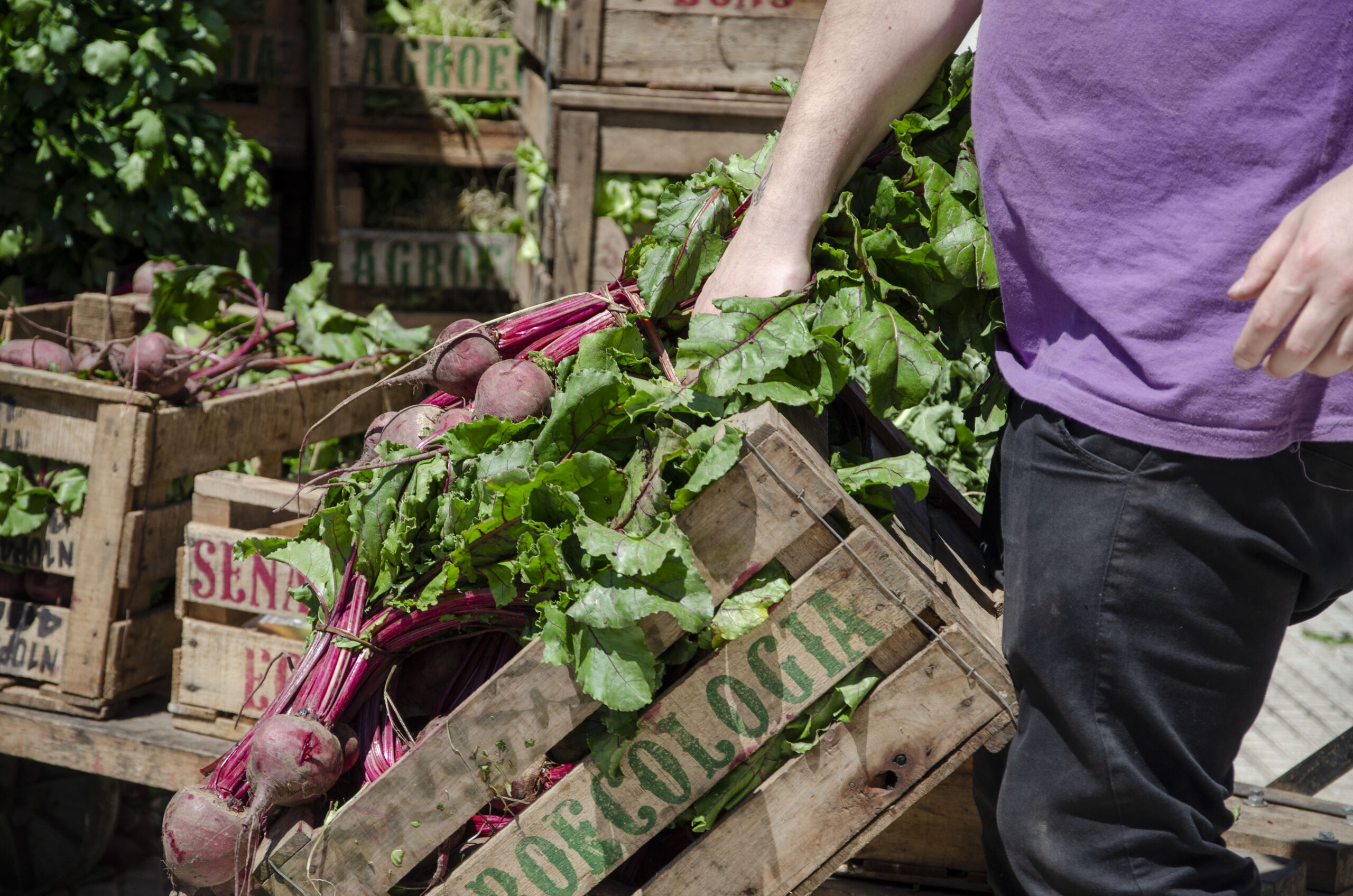 Organizaciones nucleadas en la Unión de Trabajadores de la Economía Popular realizarán un Alimentazo DSC9389 1 Scaled 1