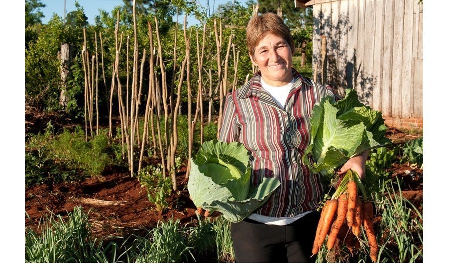 419541199 7827911927238403 4935508215388033820 N