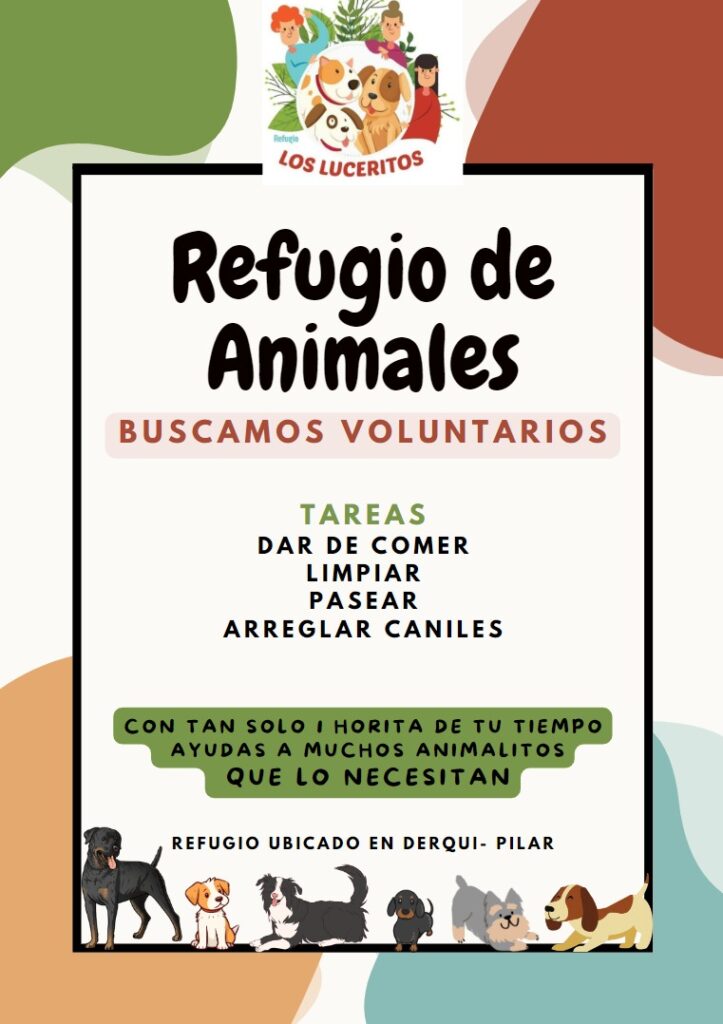 Refugio de animales “Los Luceritos” convoca a voluntariado 447886230 923762803128376 4076576383538497229 N 723x1024