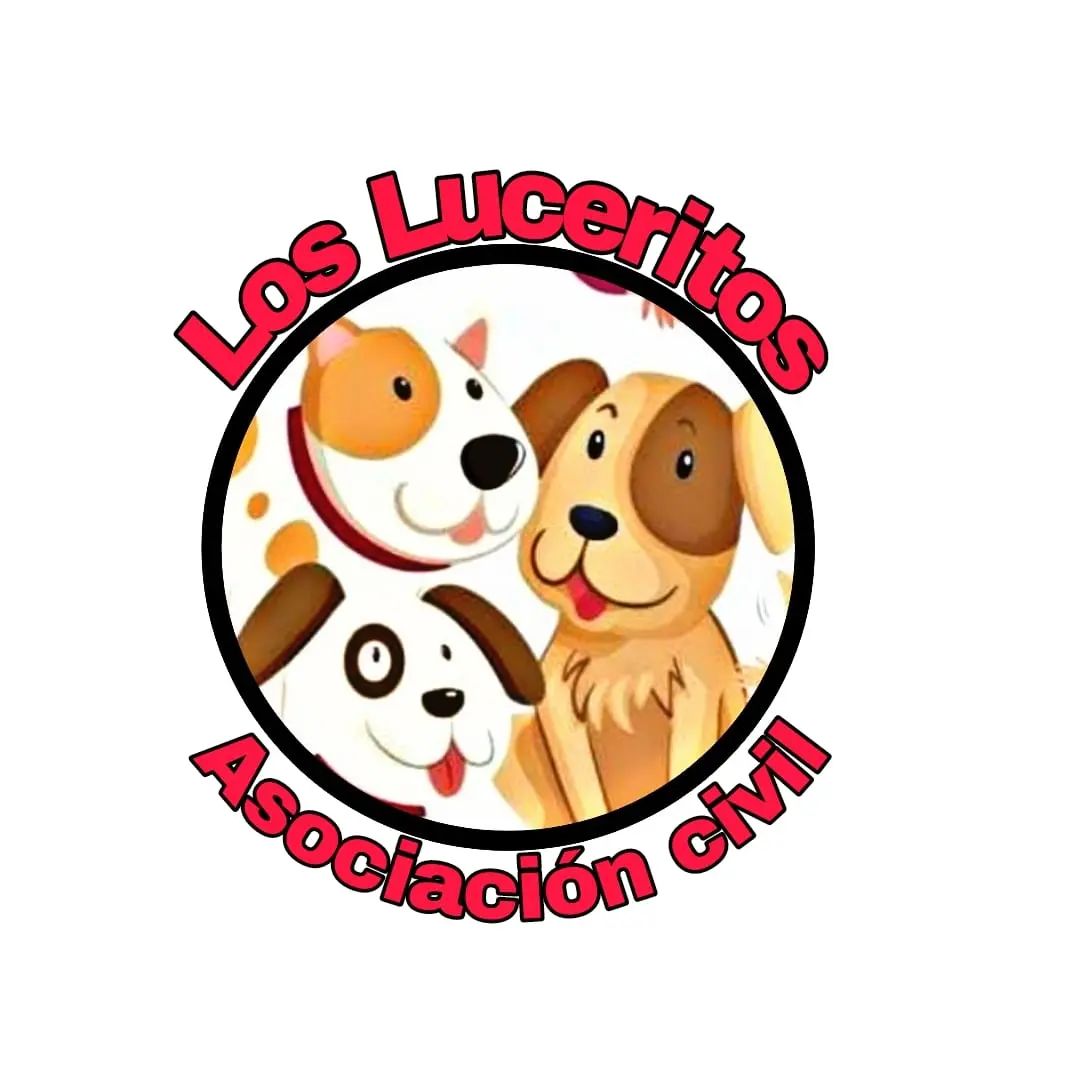 Refugio de animales “Los Luceritos” convoca a voluntariado 448217820 1413345322709268 8871143822720579091 N