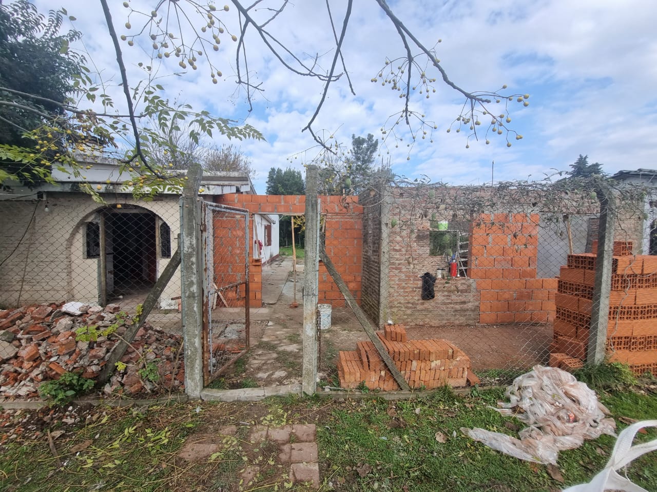 WhatsApp Image 2024 06 12 At 11.01.59