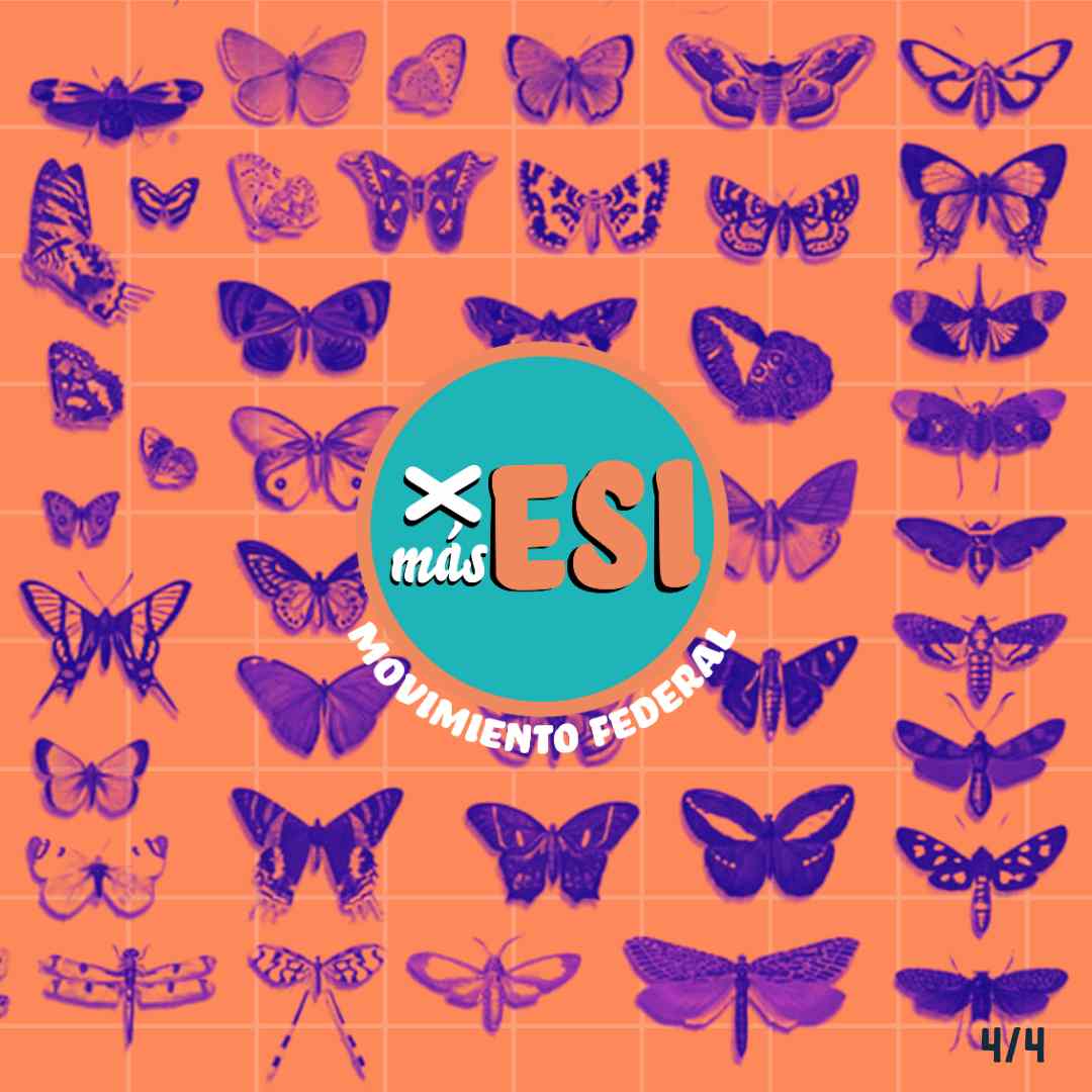 449075684 122183700680066418 942854572691601297 N